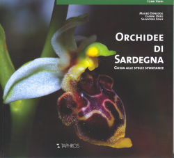 Orchidee di Sardegna - Mauro Doneddu, Gianni Orrù, Salvatore Senis, Taphros (2009)